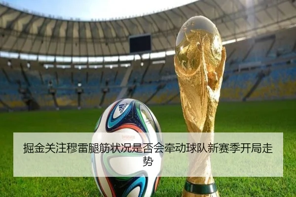 掘金关注穆雷腿筋状况是否会牵动球队新赛季开局走势